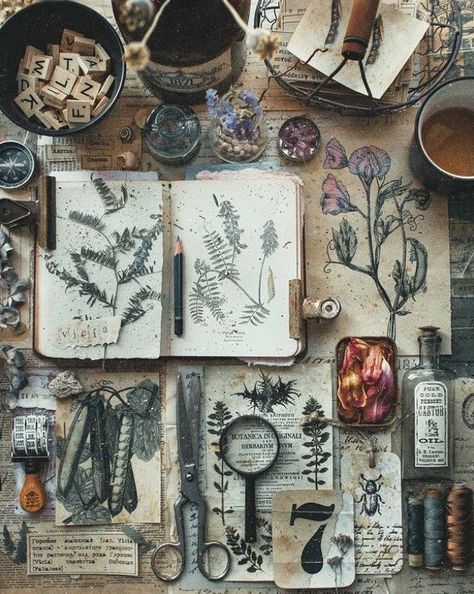 Forest Witch Aesthetic, Green Academia, Witch Aesthetic, Witchy Vibes, Nature Journal, Book Of Shadows, Green Aesthetic, Featured Artist, Botany