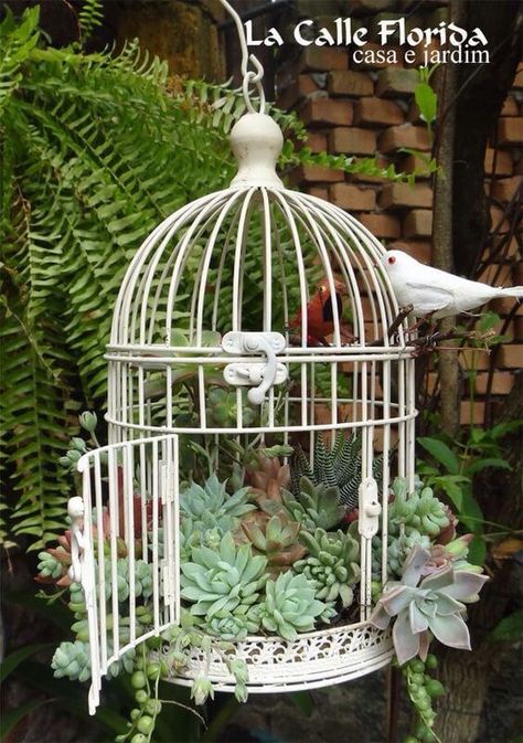 Old Bird Cage, Wire Bird Cage, Bird Cage Ideas, Birdcage Planter, Wire Bird, How To Water Succulents, Cage Decor, Plant Succulents, Bird Cage Decor