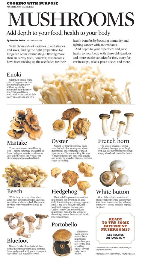 How Many Mushrooms Have You Tried? Mushroom Varieties, Mushroom Growing, Edible Mushrooms, Healthy Advice, Food Info, Cooking Basics, Food Facts, Mushroom Recipes, Have You Tried