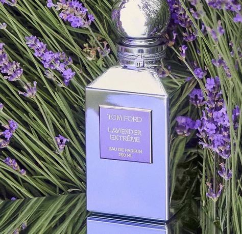 Best Lavender Perfume, Lavender Perfume Aesthetic, Creed Perfume Woman, Tom Ford Perfume For Women, Aromatic Perfume, Victorias Secret Angels, Freckles And Constellations, Perfume Lavender, Aesthetic Peaceful