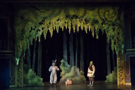 Have an overhead drop for the Neverland forest? Theatre Set Design, Shrek The Musical, Shrek Costume, Theatre Backdrops, Punk Disney Princesses, Kids Deco, Mulan Disney, Set Design Theatre, Christmas Musical