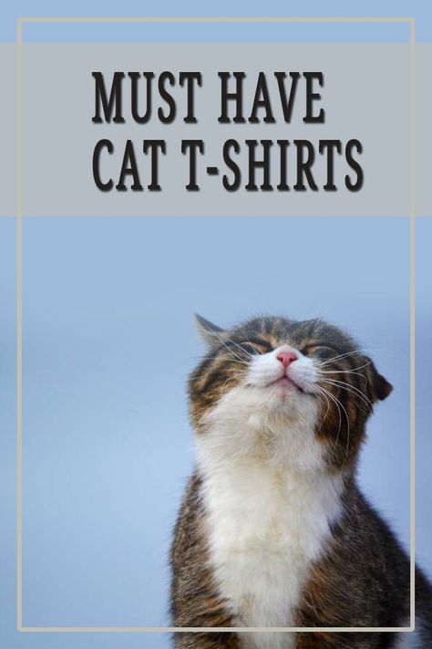 T-shirts are a way for people to express their love for a movie, a band or sports team.  And more recently, cats. With the help of a fairly recent invention , the Internet , cat lovers can easily find and buy any cat T-shirt they desire, and support a creator they love. #tshirts #tshirtsforwomen #cats #catlovers #catowners #catgifts  #meowpassion Cats Shirt, Cat Dad Gifts, Wedding Gifts For Friends, Cat Tshirts Funny, Aesthetic Gift, Cat Products, Cat Themed Gifts, Cat Mom Gifts, Kitty Games