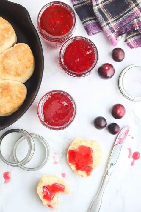 Pioneer Woman Muscadine Jelly Recipe - Belles Best Bites Muscidime Recipes, Muscadine Jelly Recipe, Canning Jelly, Muscadine Jelly, Jelly Recipe, Pioneer Woman Recipes, Jelly Recipes, Grape Juice, Jams & Jellies