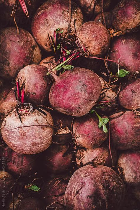 . Beetroot Images, Beetroot Photo, Beetroot Aesthetic, Beetroot Photography, Jamming Aesthetic, Food Art Photography, Stock Photography Free, Pumpkin Orange, Insta Photo Ideas