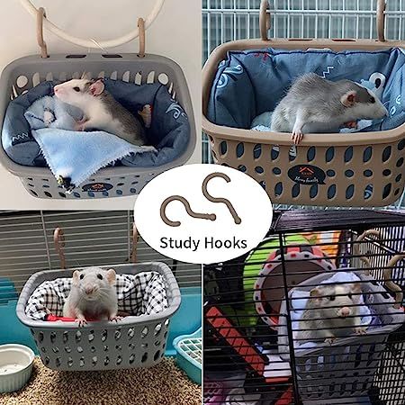 Rat Cage Diy, Diy Rat Toys, Pet Rat Cages, Baby Opossum, Rat Cage Accessories, Rat Hammock, Chinchilla Pet, Dumbo Rat, Pet Rodents