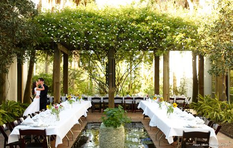 7 Unique Wedding Venues in Houston to Say "I Do" In Houston Garden, Wedding Venues Indoor, Smallest Wedding Venue, Wedding Venue Houston, Garden Reception, Garden Venue, Garden Wedding Venue, Wedding Venues Texas, Outdoor Reception