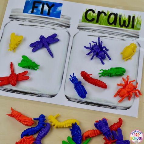 Creative Curriculum Preschool, Bug Activities, Insects Preschool, Bugs Preschool, Insect Activities, Kid Science, Insect Crafts, Insects Theme, Bug Crafts