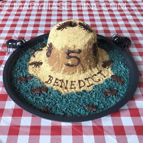 Ant Hill Cake, Ant Cake, Insect Cake Ideas, Ant Hill Killer, Bug Cakes For Boys, Crazy Birthday, Ant Hill, Spirulina Powder, Birthday For Him