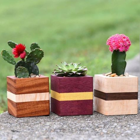 No photo description available. Wooden Succulent Planter, Wood Tea Light Holder, Succulent Planters, Nice Pictures, Wood Vase, Wooden Planters, Teds Woodworking, Woodworking Projects Plans, Woodworking Designs