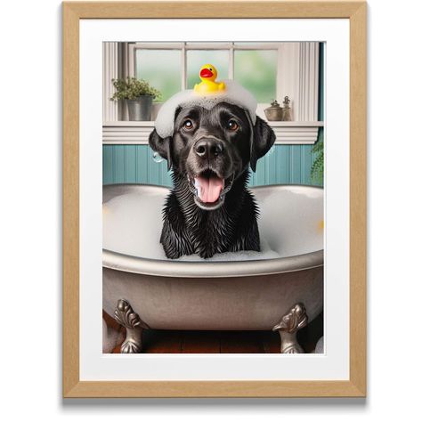 Pet Bathroom, Dog Bathroom Decor, Bath Pictures, Dog Bathroom, Black Labrador Retriever, Bathroom Photos, Dog Bath, Black Labrador, Rubber Ducky