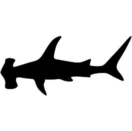 Hammerhead Shark Silhouette File Ideas, Shark Silhouette, Fish Silhouette, Animal Stencil, Shore House, Free Silhouette, Silhouette Clip Art, Hammerhead Shark, Silhouette Stencil