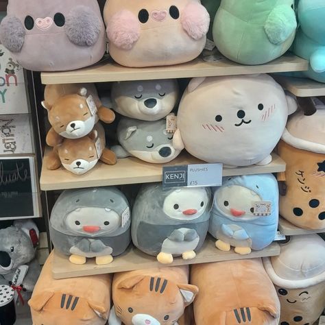 Cute,plushies,fluffy,kenji,teddy's,animal's Japanese Plushies, Japan Life, Sewing Stuffed Animals, Cute Plushies, Stray Kids Seungmin, My Bed, Room Art, Happy Place, Art Room