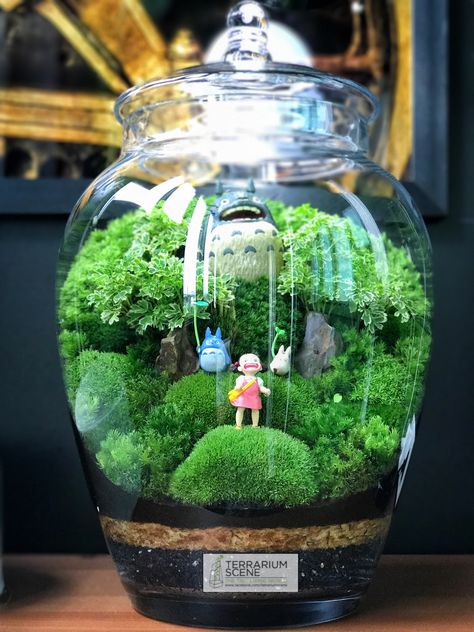 Panda Art Café Cute Terrarium Ideas, Studio Ghibli Stuff, Totoro Decor, Totoro Garden, Totoro Terrarium, Studio Ghibli Decor, Marimo Moss Ball Terrarium, Marimo Moss, Marimo Moss Ball