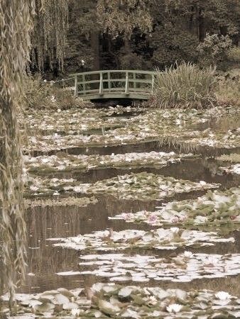 Vintage 1800s Aesthetic, Credit Aesthetic, Cottage Core Wallpaper, Cottage In The Woods, Cottage Core Aesthetic, Soft Aesthetic, Flower Photography, Cottagecore Aesthetic, + Core + Aesthetic