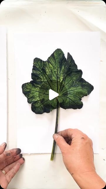 Impressions of Nature on Instagram: "This leaf print actually made me gasp! 💚🍃💚  I am always so in awe of the amazing world around me and this process takes that to a whole new level for me!   So much detail I think they look like a kind of x-ray and I’m loving the folds again ✨  If you would like to try this at home, there is a list of materials on the website links in bio or you can visit  https://www.impressionsofnature.co.uk/materials  Mallow (Malva sylvestris), (Malvaceae family)  is often seen as a symbol of resilience and tenacity because of its ability to grow in a variety of conditions and its robust nature.  Its flowers can symbolise being “consumed by love,” indicating a deep and passionate affection for someone.  the word “malache” referred to a healing plant in ancient Gree Common Mallow, Gelli Printing Techniques, Leaf Art Diy, Malva Sylvestris, Leaf Print Art, Contemporary Botanical Art, Contemporary Printmaking, Leaf Collage, Mallow Flower