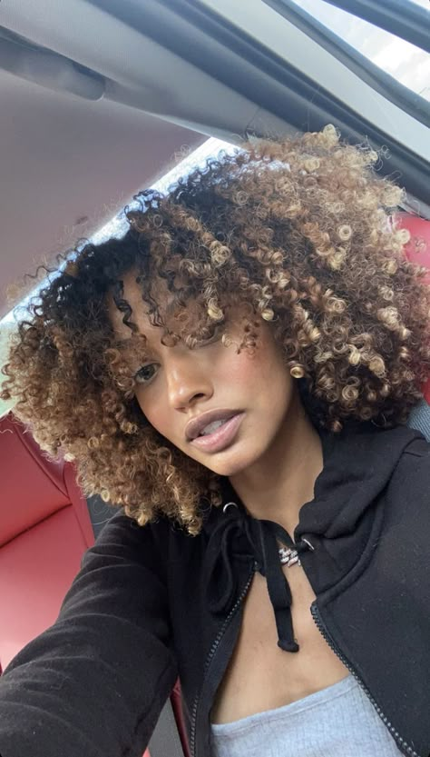 Type 4 Hair Highlights, Afro Hairstyles Color, Brown Natural Hair With Highlights, Ombré Natural Hair, 4c Hair With Highlights, Afro With Highlights, Colored Afro Natural Hair, Afro Hair Color Ideas, 4c Hair Highlights