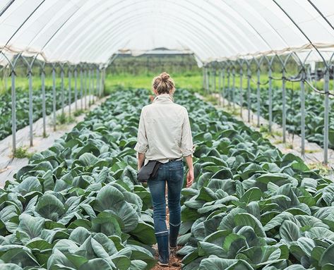 Carla Oates, Regenerative Gardening, Permaculture Farming, Moto Ninja, Biodynamic Gardening, Agriculture Photography, Agriculture Design, Community Farm, Green Factory