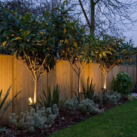 Privacy Fence Landscaping, Farmhouse Backyard, Diy Garden Fence, Privacy Landscaping, Backyard Privacy, Beautiful Farmhouse, Fence Landscaping, Backyard Lighting, Landscape Designs