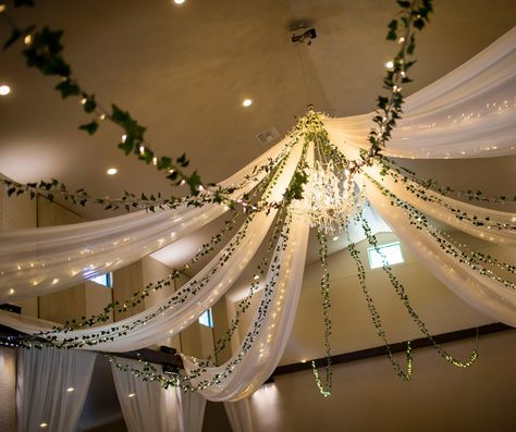 Forest Decorations, Enchanted Forest Decorations, Hall Decorations, Wedding Ceiling, Peacock Wedding Theme, Ranch Wedding Venue, Wedding Florida, 2024 Ideas, Prom Theme