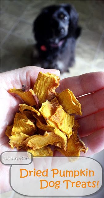 A blog about DIY green living crafts and dogs How to tutorials on home improvement decor and money saving tips Danny Dog, Dog Treat Recipe, Dog Biscuit Recipes, Pumpkin Dog Treats, Food Dog, Diy Dog Treats, Puppy Treats, Allergy Free Recipes, Dog Cookies