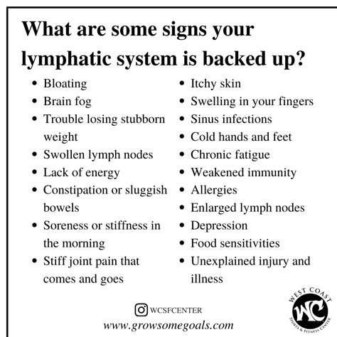 Autogenic Training, Lymph Drainage Massage, Lymph Vessels, Lymph Fluid, Lymph Massage, Lymph System, Lymph Drainage, In Your Arms, Lack Of Energy