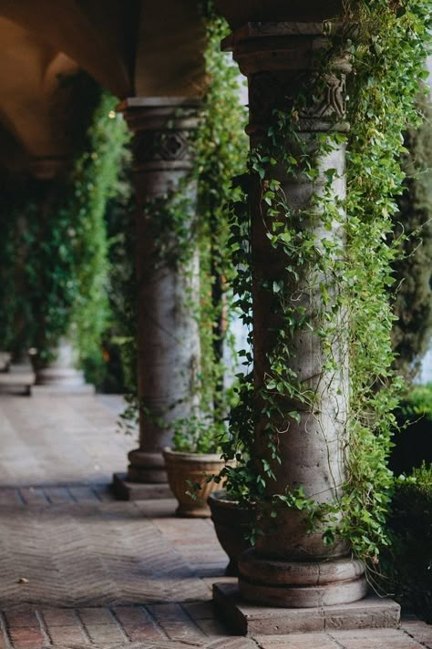 Creative Garden Ideas, Creeping Vines, English Country Manor, Ivy Cottage, Wedding Reception Party, Stone Pillars, Country Manor, English Ivy, Collection Board