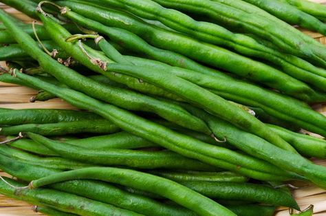 Kentucky Wonder Pole Beans, Savory Side Dishes, Holiday Casseroles, Snap Beans, Bean Varieties, Bean Pods, Bean Plant, Types Of Beans, Bush Beans