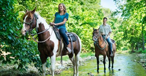 Saddle Up for Horseback Riding in Branson | Explore Branson Branson Missouri Vacation, Dogwood Canyon, Branson Vacation, Indian Creek, Branson Missouri, Outdoor Lover, Sports Activities, Animal Planet, Horseback Riding