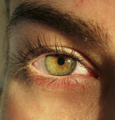 Eye Colours Aesthetic, Green Eye Photography, Aesthetic Eye Colors, Pretty Green Eyes Aesthetic, Hazel Yellow Eyes, Yellow Hazel Eyes, Green Eye Reference, Green Eyes With Gold Flecks, Green Gold Eyes