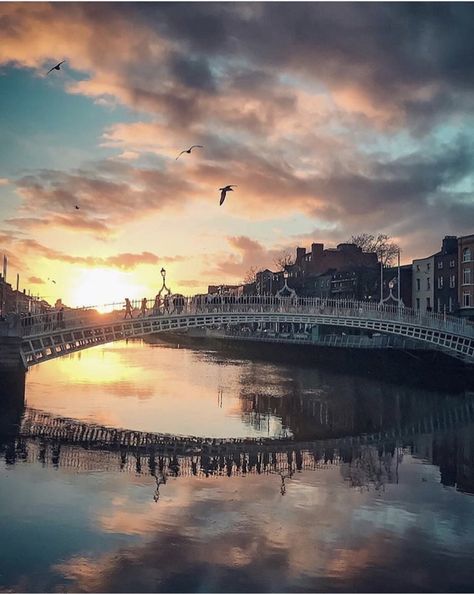 Fall In Love Aesthetic, Dublin Bridge, Ireland People, Fever Series, Backpacking Ireland, Ireland Aesthetic, Ireland Weather, Ireland Hotels, Wild Atlantic Way