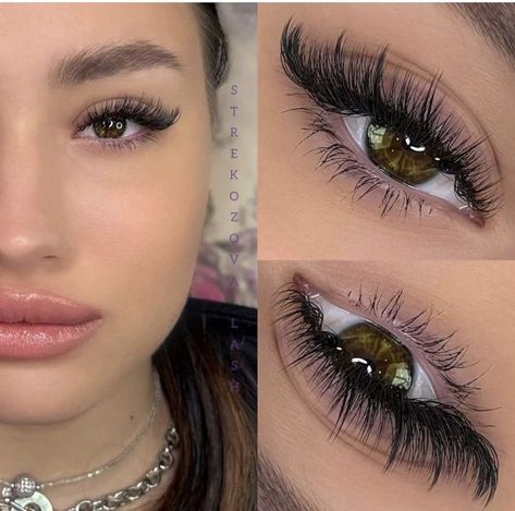 Winged Lash Extensions, Lash Extensions With Purple, Eyelash Extensions Styles Cat Eye, Hybrid Lash Extensions Styles Cat Eye, Pretty Lash Extensions, Hybrid Cat Eye Lash Extensions, Cateye Eyelashes Extensions, Fox Eye Lash Extensions, Hybrid Lash Extensions Styles