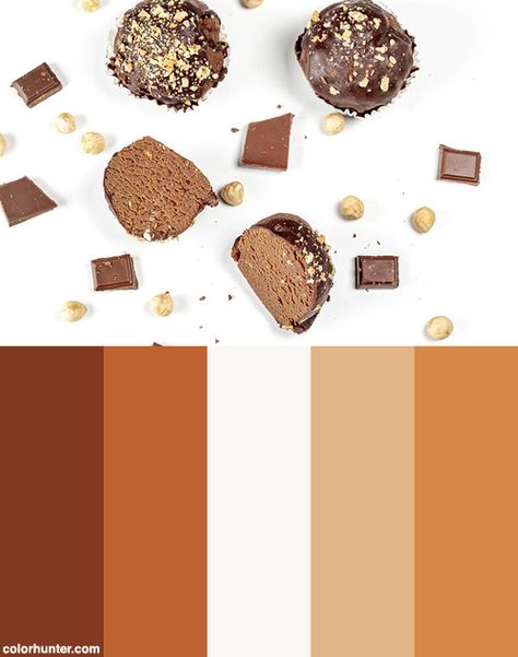 Chocolate Cakes With Chocolate Pieces And Hazelnuts On A White Background (flip 2020) Color Scheme from colorhunter.com Hazelnut Color Palette, Dessert Colour Palette, Cake Color Palette, Chocolate Color Palette, Palette Cake, Cakes With Chocolate, Chocolate Template, Logo Dessert, Chocolate Palette