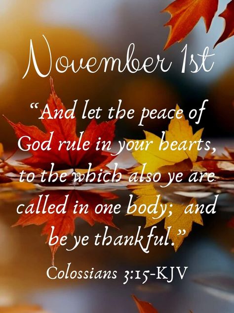 Colossians 3 15, Peace Love Happiness, November Month, Colossians 3, Peace Of God, Memory Verse, November 3, Daily Bible Verse, November 1