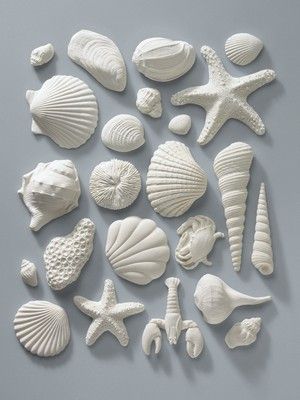 Clay Date, Shell Sculpture, Sea Sculpture, Clay Moulding, Soap Carving, Sea Shell Decor, Tanah Liat, Shell Decor, Clay Art Projects