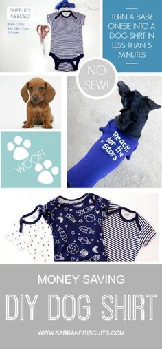 Dog Shirt Diy, Diy Dog Sweater, Dogs Diy Projects, Dog Clothes Diy, Dog Shirts, Diy Vetement, Dog Ideas, Dog Clothes Patterns, Dog Projects