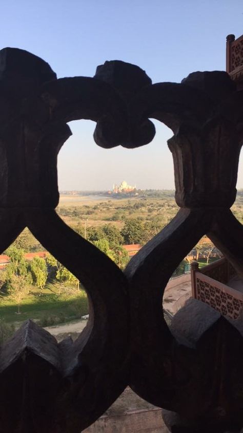 You can see the Taj Mahal from Red Fort Agra in India. Red Fort Agra, Delhi Trip, Agra Fort, Stay Curious, Red Fort, The Taj Mahal, Cute Selfies Poses, India Travel, Agra