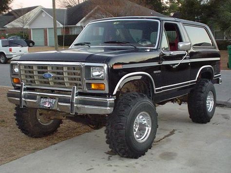 Ford Bronco 1986 1986 Ford Truck, 80s Ford Bronco, 1985 Ford Bronco, 1980 Ford Bronco, 90s Bronco, 1988 Ford Bronco, 1984 Ford Bronco, 1986 Ford Bronco, 1995 Ford Bronco