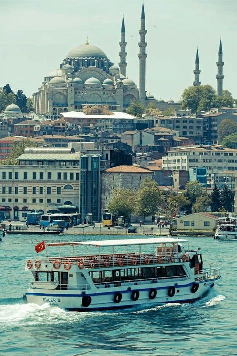 Istanbul Turkey Bosphorus Cruise, Bosphorus Istanbul, Things To Do In Istanbul, World Photography, Ancient Times, Istanbul Turkey, 5 Things, Wonderful Places, Beautiful Nature