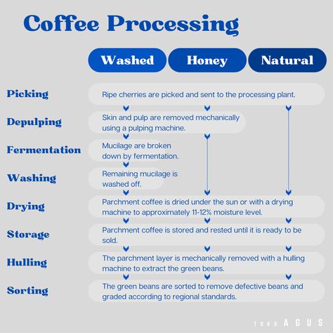 Difference between washed, honey and natural coffee processing. Pulped natural and semi-washed or giling basah. Coffee Processing, Coffee Measurements, Homemade Coffee Drinks, Coffee Process, Coffee Brewing Methods, Bakery Shop Design, Coffee Making, Natural Coffee, Homemade Coffee