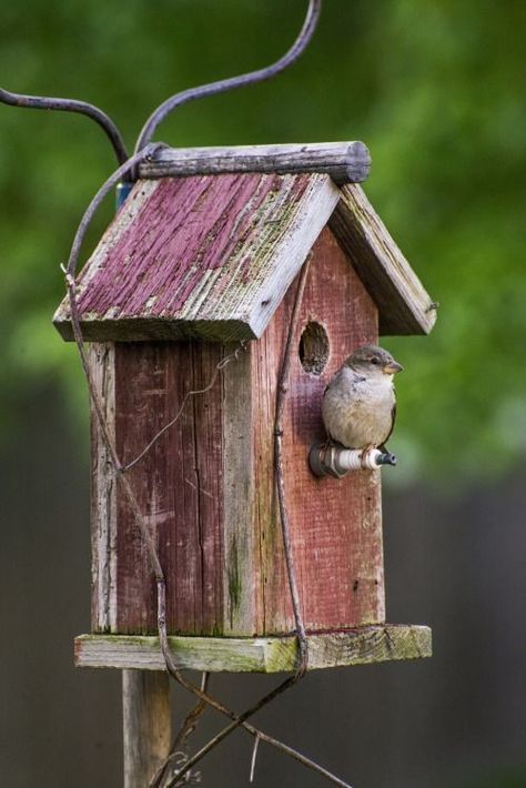 Farmhouse Birdhouses, Barn Birdhouses, Bird Feeder Craft, Homemade Bird Houses, Bird Houses Ideas Diy, Garden Birdhouses, Bird House Feeder, Butterfly Houses, Bird House Plans