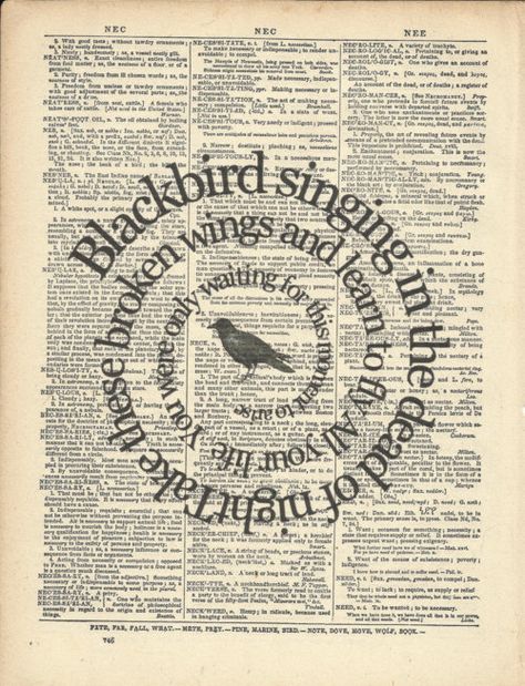 blackbird Blackbird Song, Beatles Vintage, Blackbird Singing, Now Quotes, Beatles Art, Song Lyrics Art, Book Page Art, Beatles Songs, Vintage Dictionary