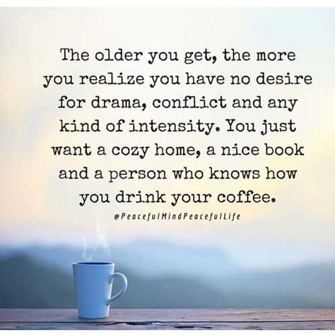 The older your get, the more you realize you have no desire for drama, conflict and any kind of intensity life quotes quotes quote life drama peace quotes life quotes and sayings life images life image Conflict Quotes, Free Life Quotes, Life Is Difficult, Deserve Quotes, Getting Older Quotes, Realization Quotes, Proud Quotes, Love Quote Tattoos, You Got This Quotes