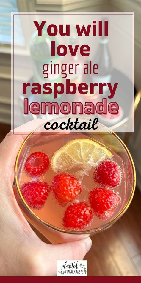 Try our simple and easy raspberry lemonade cocktail with ginger ale and Prosecco. Made with Simply Lemonade and sparkling wine, Prosecco, or champagne, this ginger ale cocktail is ready in five minutes. Make a batch for a pitcher drink or just make it by the glass for a yummy spring or summer drink! Raspberry Lemonade with Prosecco and ginger ale is fancy for the nicest gatherings but low-key enough for casual gatherings! Go with no alcohol for a mocktail! via @PlantedinArkansas Raspberry Lemonade Cocktail, Prosecco Cocktails Easy, Rasberry Lemonade, Ginger Ale Drinks, Ginger Ale Cocktail, Mocktail Ideas, Prosecco Drinks, Raspberry Punch, Raspberry Cocktail