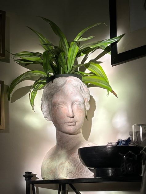 Earthy Futuristic, Statue Planters, Statue Plant Pot, Pinterest Plant, Statue Head, Head Bust, Bust Sculpture, Head Planters, Human Head