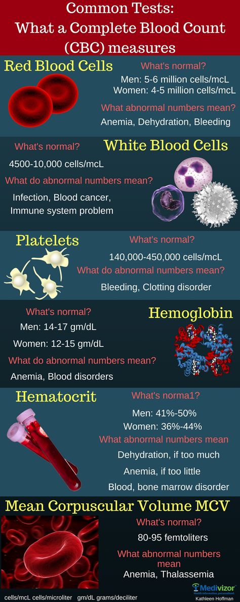 Complete Blood Count (CBC) Medical Laboratory Science Student, Nursing Labs, Medical Assistant Student, Medical Student Study, Medical Laboratory Science, Nursing School Survival, Medical Facts, Nursing School Tips, Medical School Studying