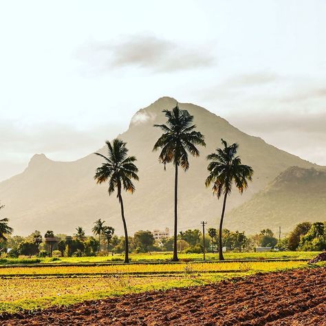 Tiruvannamalai Hill, Ramana Maharshi, Strep Throat, The Time Is Now, The Endless, Nature Pictures, Shiva, Monument Valley, Watercolor Paintings