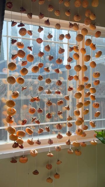 zelina ⋆౨ৎ˚⟡˖ ࣪ on Instagram: "Hoshigaki: peeling fresh persimmons and then hanging them up to dry in the sun and wind 🌟 A tradition my family does during the autumn and winter season 🍂 The sugar of the persimmon gets naturally drawn out and crystallizes on the outside! The texture ends up being similar to a gummy candy 🤤 Tips: • when the persimmons are drying, make sure they don’t touch!! no touchy 😂👉👈 • hang them up by a window with plenty of natural sunlight ✨ • tie the strings on the stems of each fruit • place an oscillating fan in front of the persimmons on low speed and allow it to run continuously. It prevents against mold and fruit flies, works like a charm!! 😉 • dry for at least 7-10 days, but you can enjoy them depending on what kind of texture you’d like! (drying can be No Touchy, Persimmon Fruit, Herbal Apothecary, Fruit Flies, Dream Houses, Natural Sunlight, Persimmon, Gummy Candy, Dried Fruit