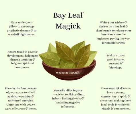 Burning Bay Leaves, Herbal Shop, Occult Science, Spiritual Prayers, Witch Spell Book, Healing Plants, Psychic Development, Herbal Healing, Diy Remedies