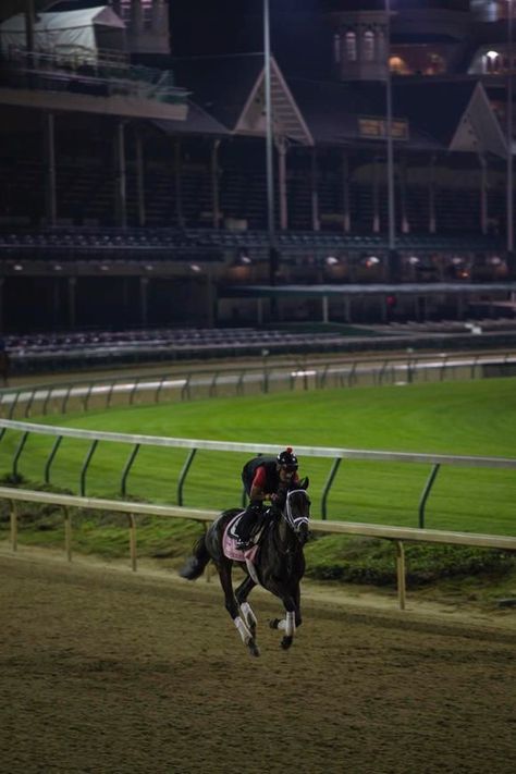 Racehorse Aesthetic, Kentucky Derby Aesthetic, Aesthetic Horses, Morning Training, Elsie Silver, Woodford Reserve, Race Photography, Equestrian Aesthetic, Thoroughbred Horse Racing