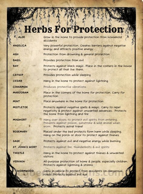 Herbs For Protection, Wiccan Books, Spiritual Garden, Tattoo Plant, Magickal Herbs, Spells For Beginners, Witchcraft Books, Wiccan Magic, Witch Spirituality